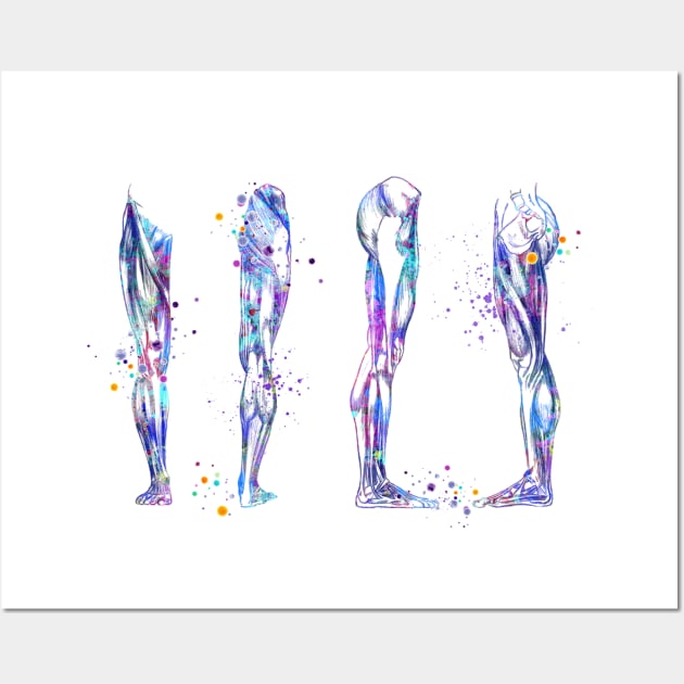 Leg Muscles Colorful Watercolor Anatomy Wall Art by LotusGifts